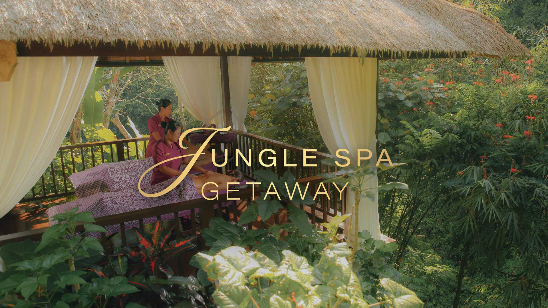 Special Offer - Jungle Spa Getaway