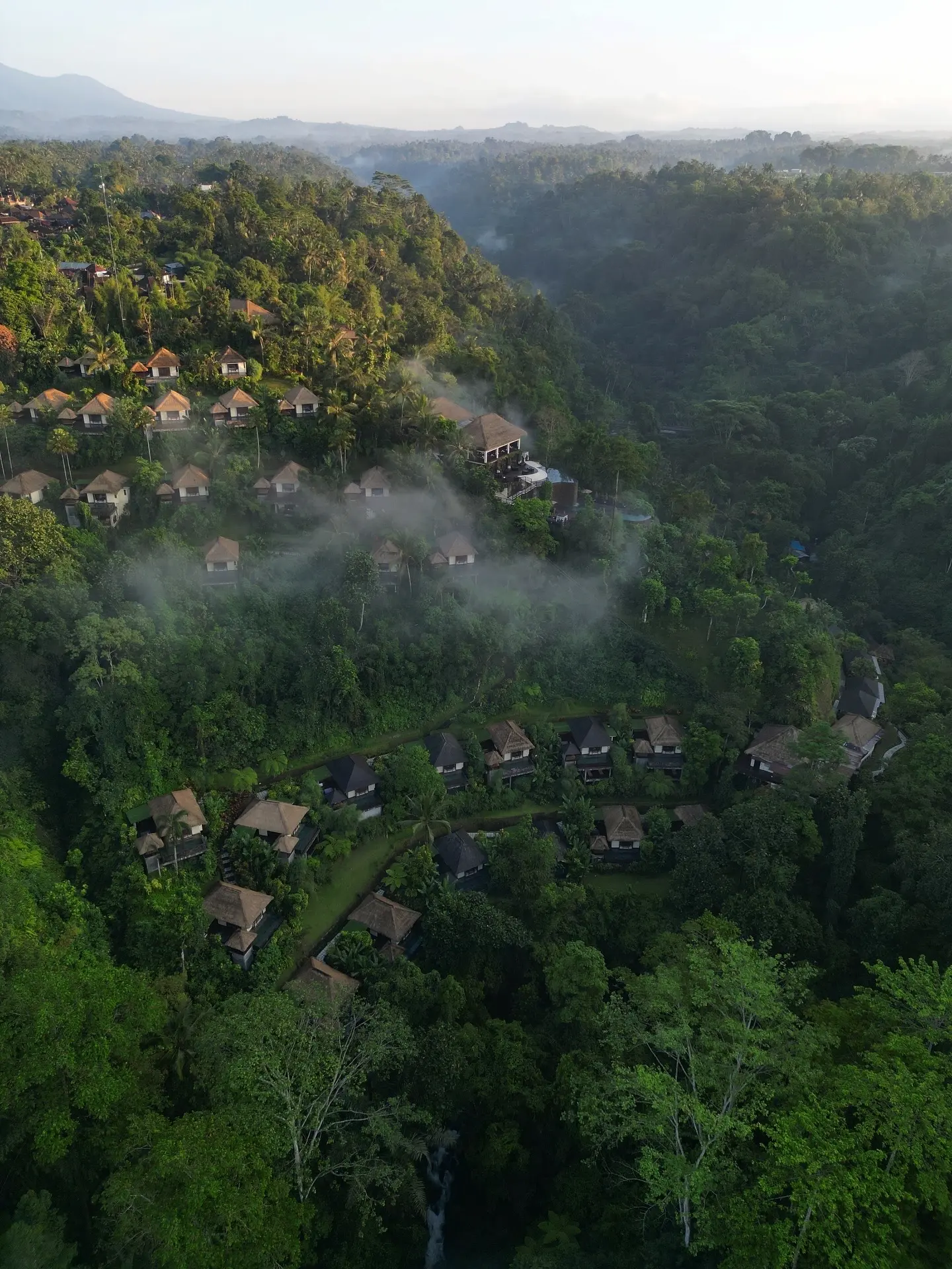 Lush rainforest surrounding Hanging Gardens of Bali during February green season