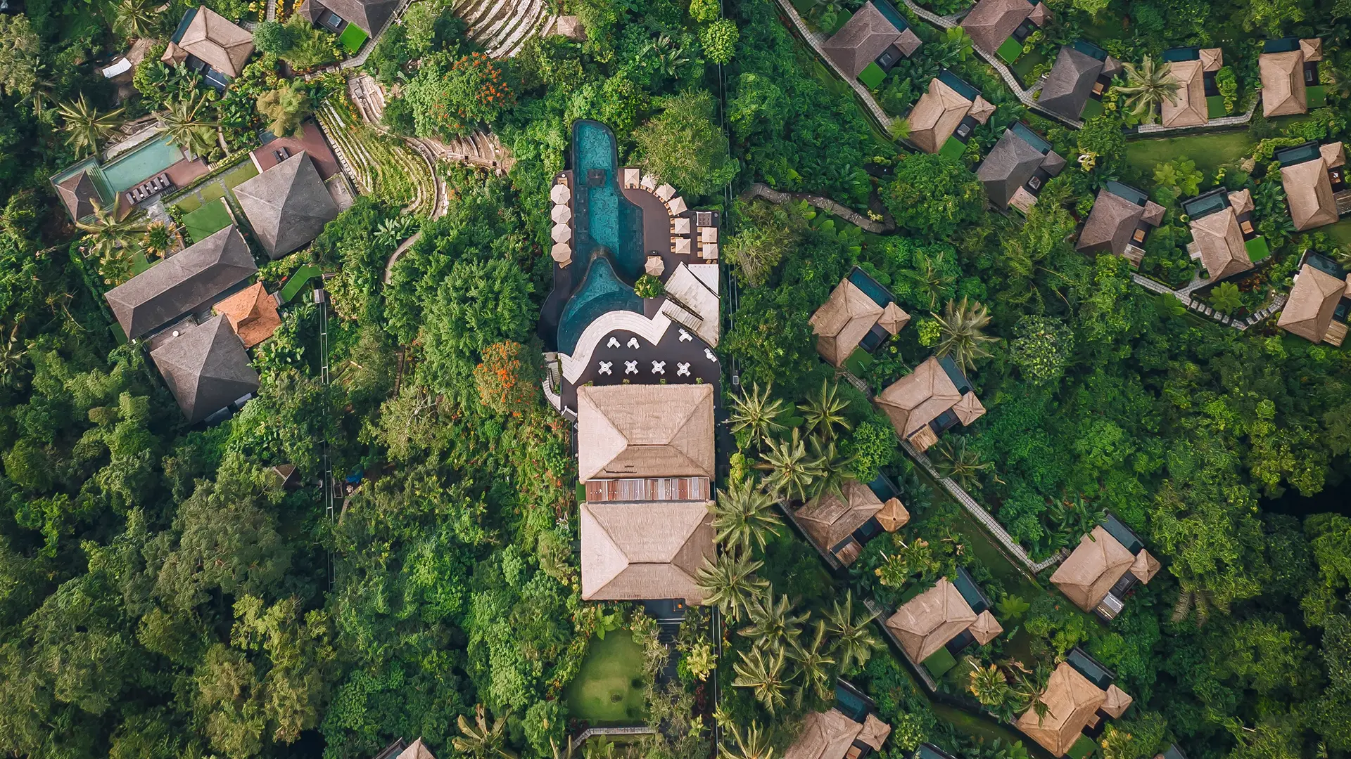 Lush rainforest at Hanging Gardens of Bali during February with softened light