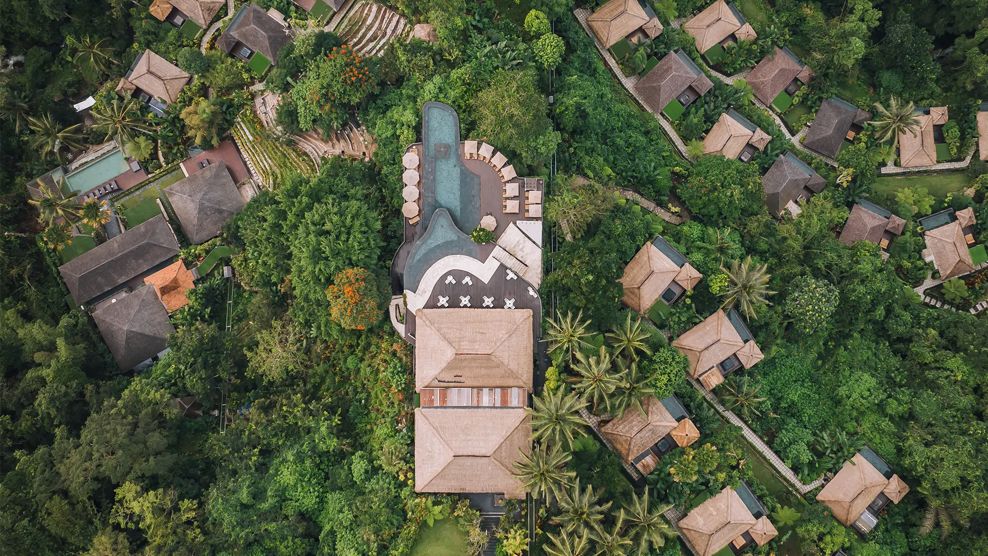 Rainforest valley view at Hanging Gardens of Bali during February