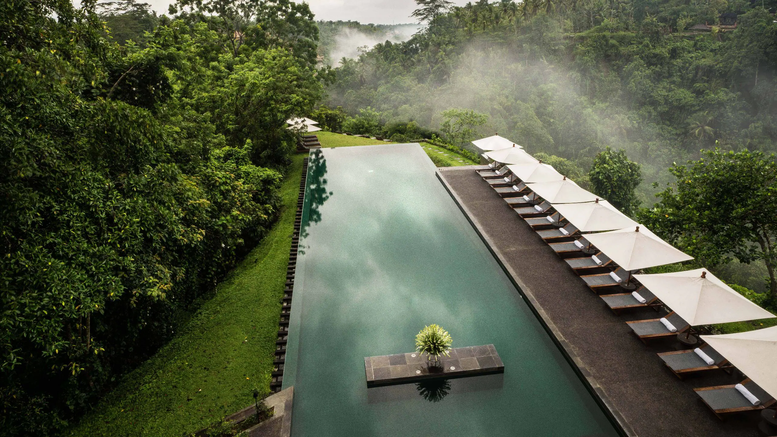 3) Alila Ubud - Modern Romance with Stunning Jungle Vistas