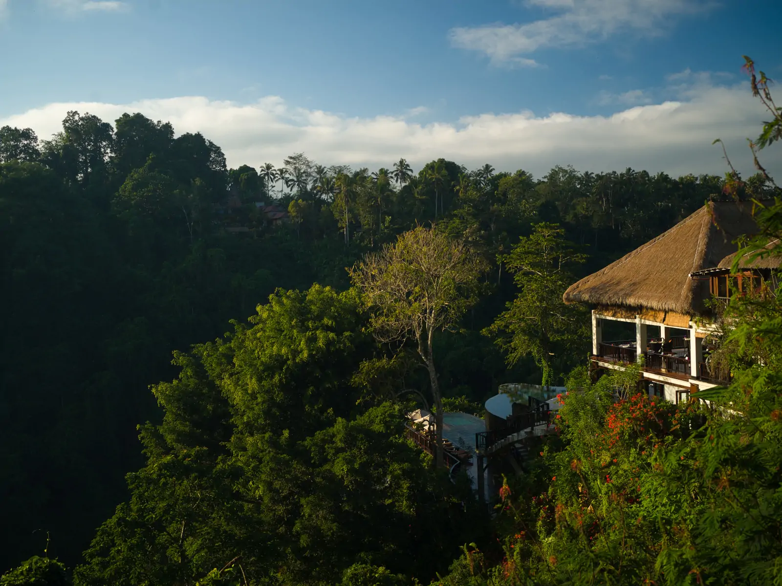 Elevated jungle valley view in Ubud from Hanging Gardens of Bali