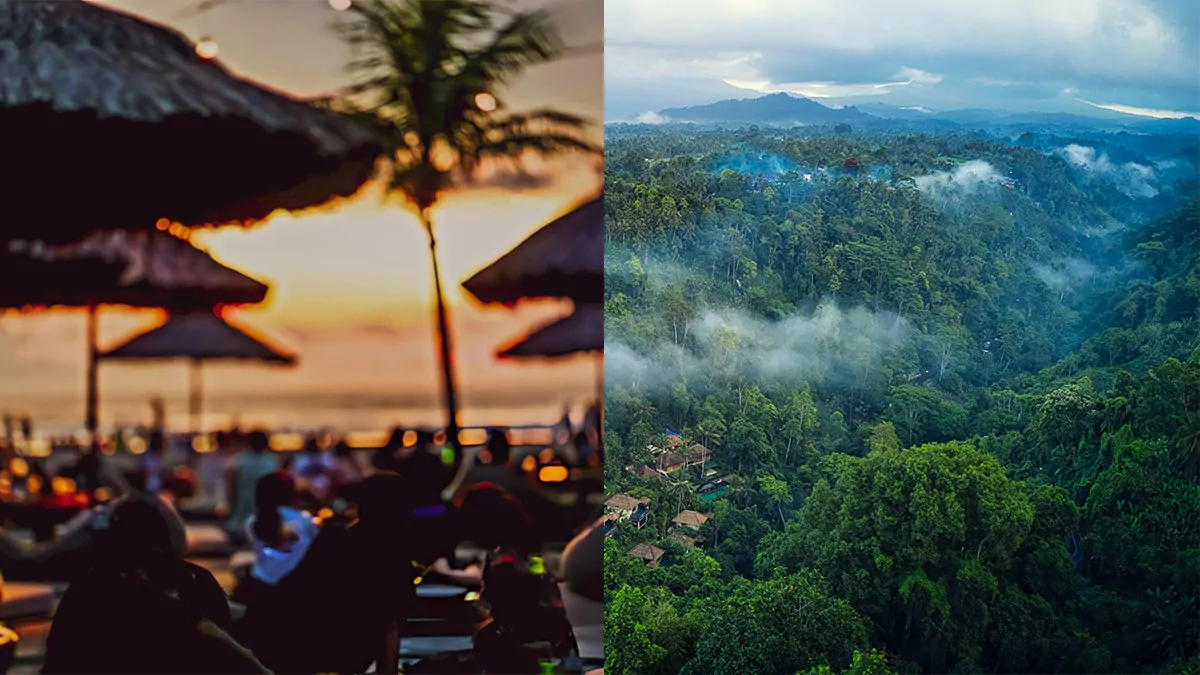 Contrast between busy Bali coastline and peaceful jungle landscape in Ubud