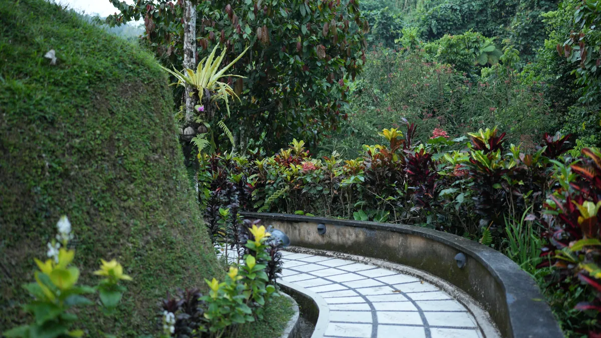 Luxury rainforest pathway at Hanging Gardens of Bali in Ubud