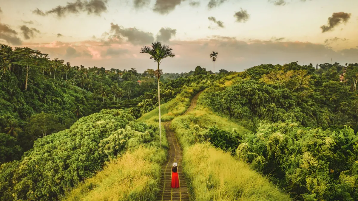 Morning walk along Campuhan Ridge during a two-day Ubud itinerary