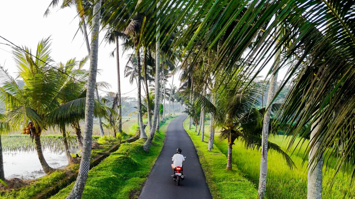 Scenic journey through tropical Bali on the way to Ubud