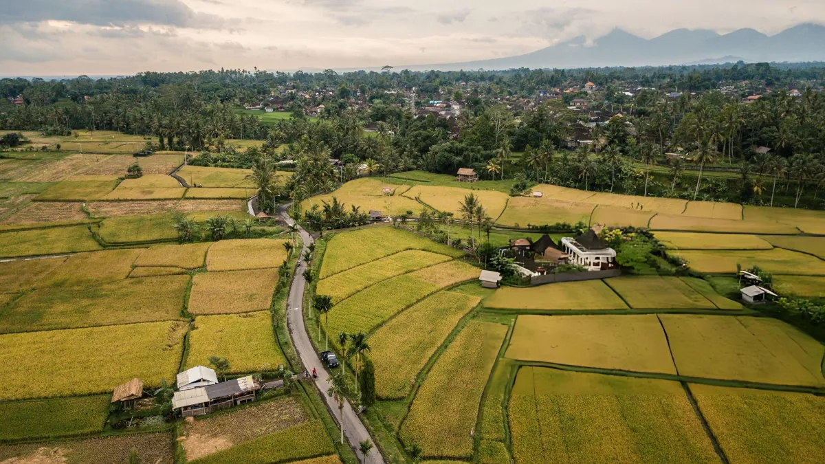 Luxury Beyond the Beach: Why More Travellers Are Ending Their Bali Holiday in Ubud